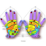 Reflexology Brisbane